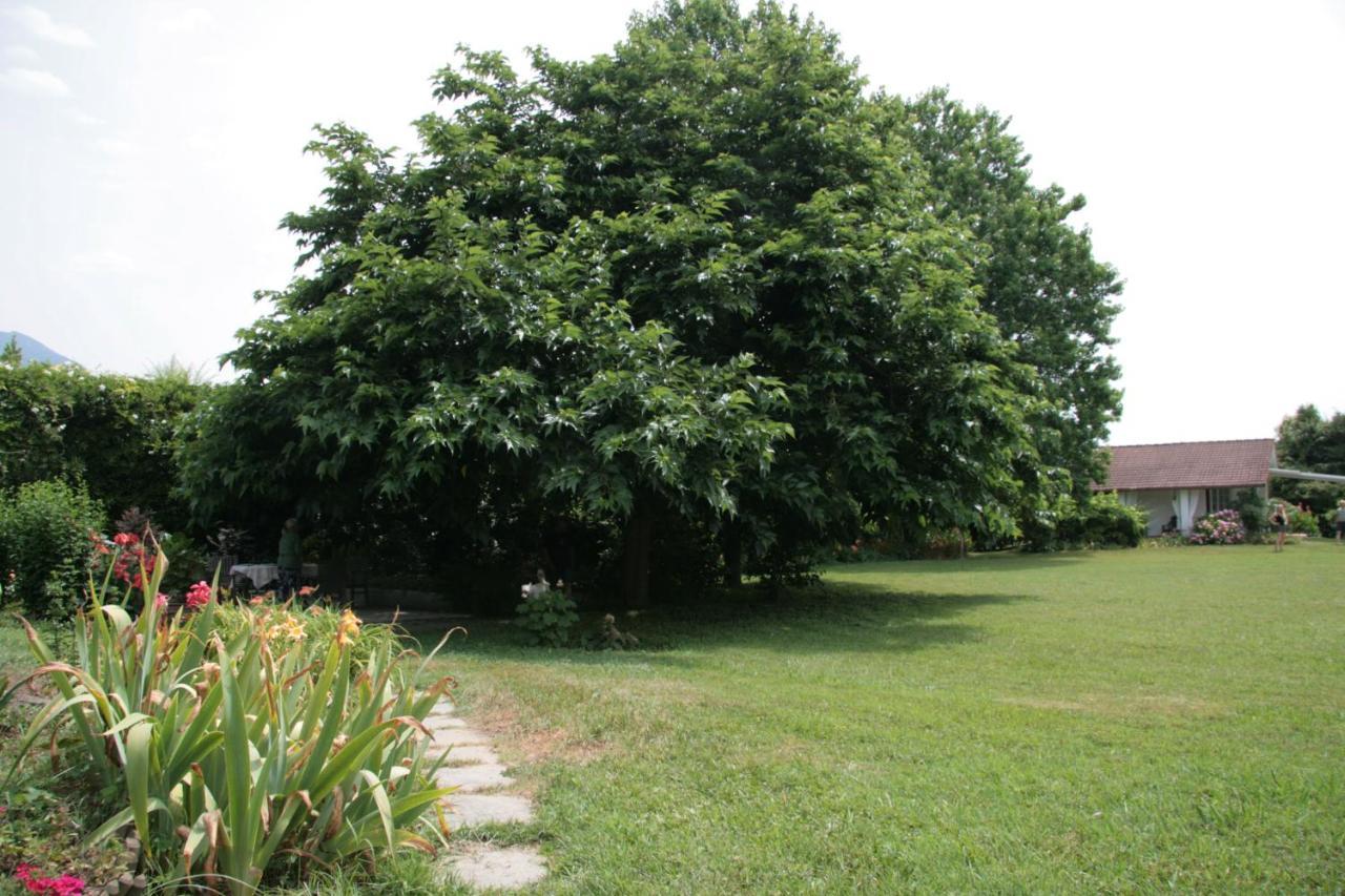 Pietrasanta - Versilia - Villa Arzilla Garden Con Piscina Tonfano Extérieur photo